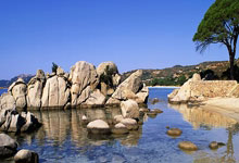 开云官网-尼日利亚男篮横扫加拿大男篮,巴恩斯惊艳世界2025