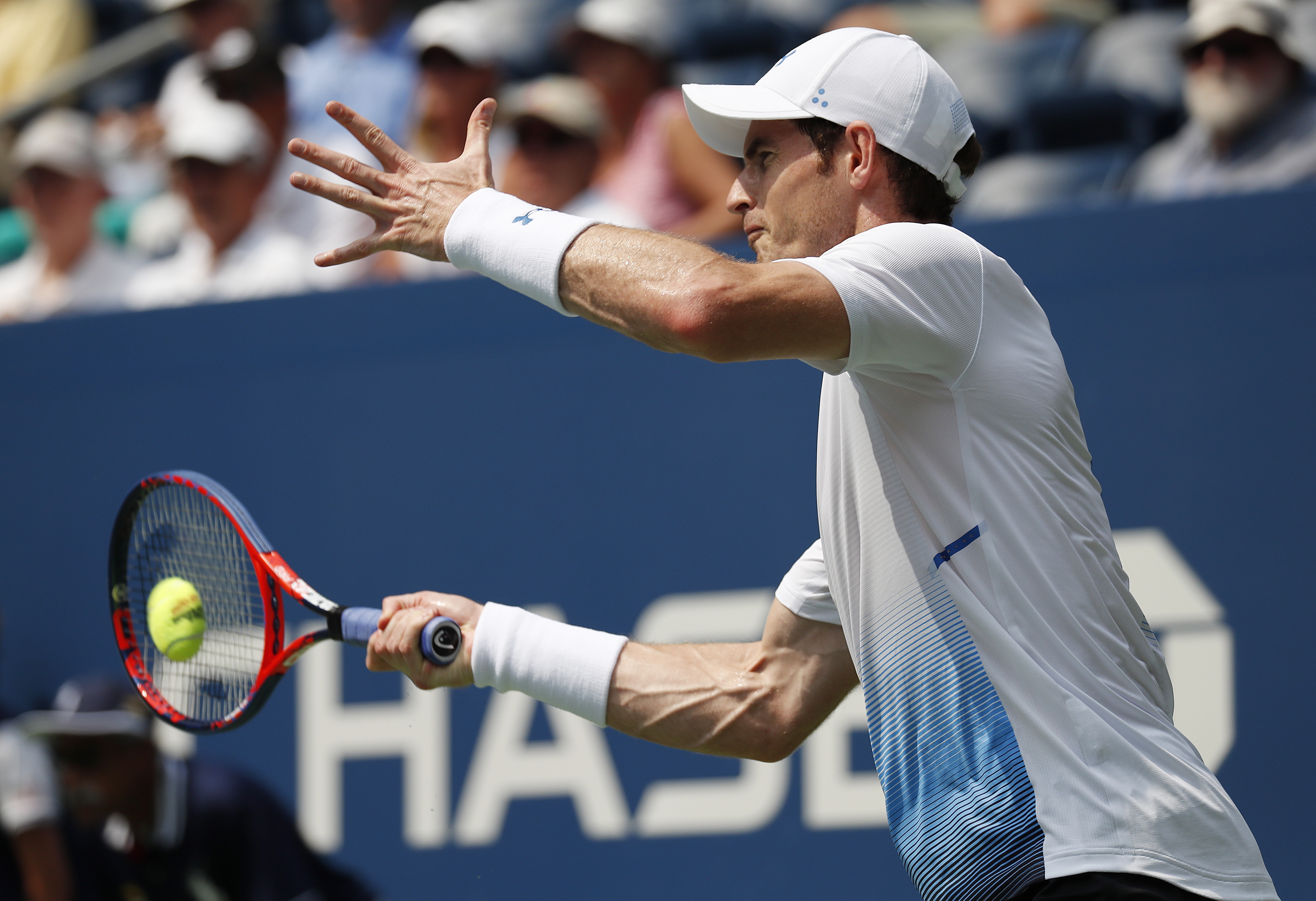 英国网球队力克澳大利亚网球队,穆雷惊艳世界的简单介绍 英国网球队力克澳大利亚网球队,穆雷惊艳世界的简单介绍